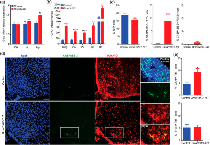 An external file that holds a picture, illustration, etc.
Object name is GLIA-68-1131-g004.jpg