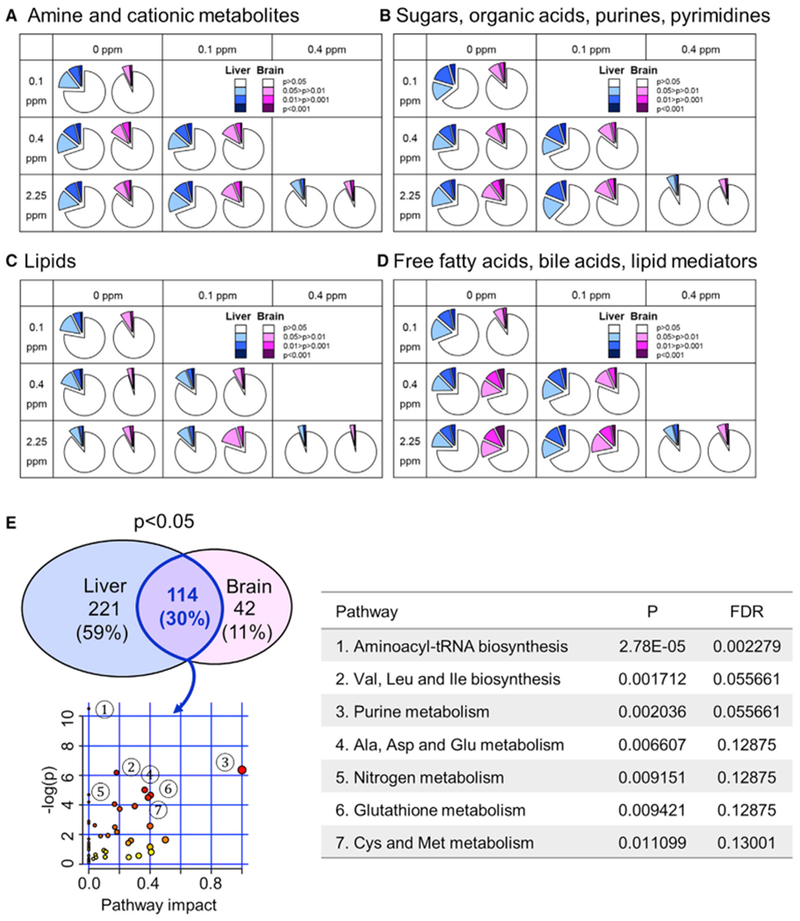 An external file that holds a picture, illustration, etc.
Object name is nihms-1530453-f0002.jpg