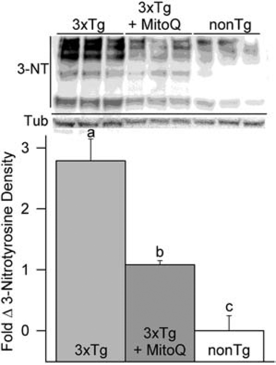 An external file that holds a picture, illustration, etc.
Object name is nihms-1544400-f0003.jpg