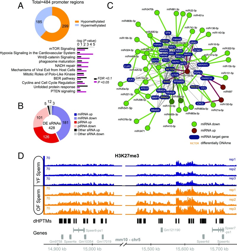 An external file that holds a picture, illustration, etc.
Object name is pnas.1707337115fig04.jpg