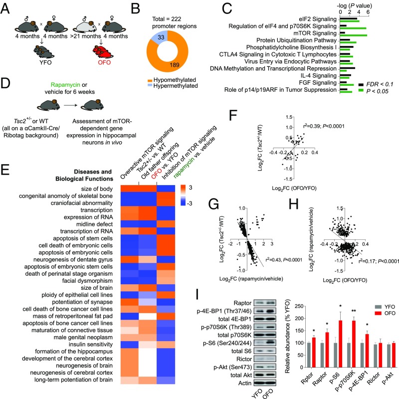 An external file that holds a picture, illustration, etc.
Object name is pnas.1707337115fig05.jpg