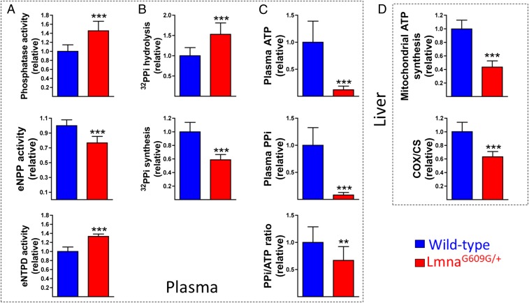 An external file that holds a picture, illustration, etc.
Object name is pnas.1910972116fig02.jpg