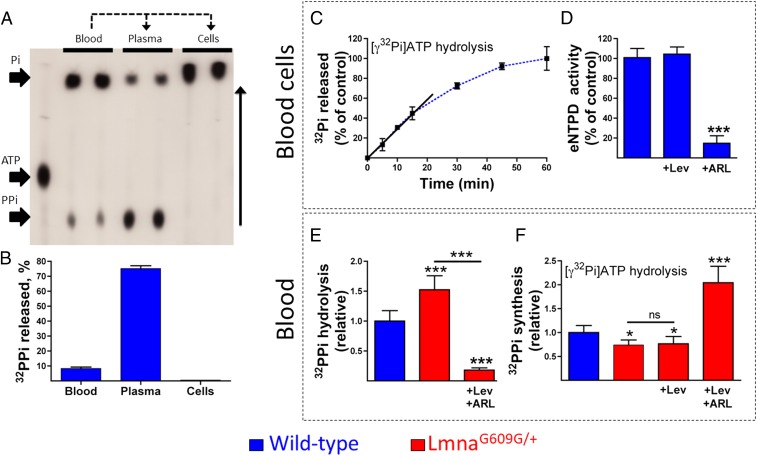 An external file that holds a picture, illustration, etc.
Object name is pnas.1910972116fig03.jpg