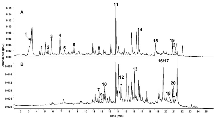 An external file that holds a picture, illustration, etc.
Object name is nutrients-11-01886-g001.jpg