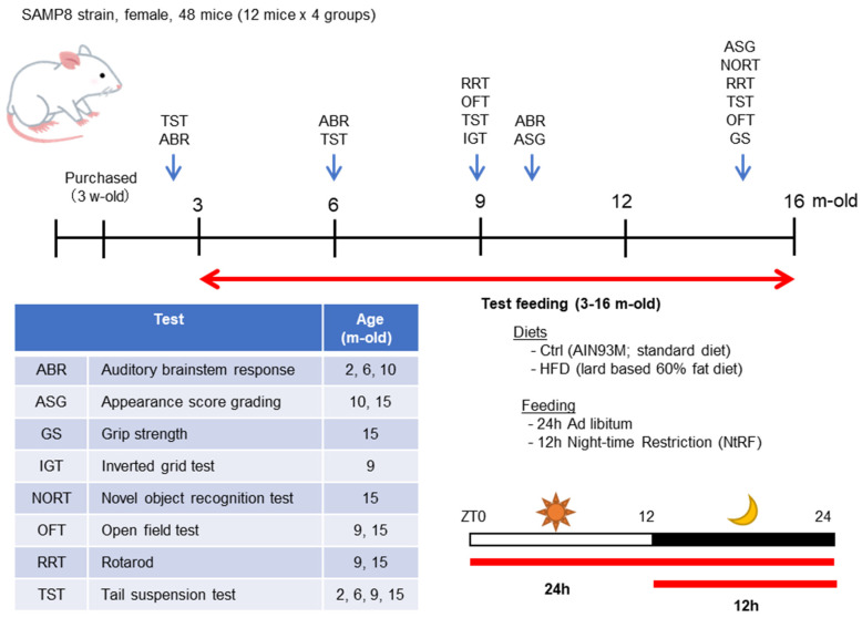 An external file that holds a picture, illustration, etc.
Object name is nutrients-12-01416-g001.jpg