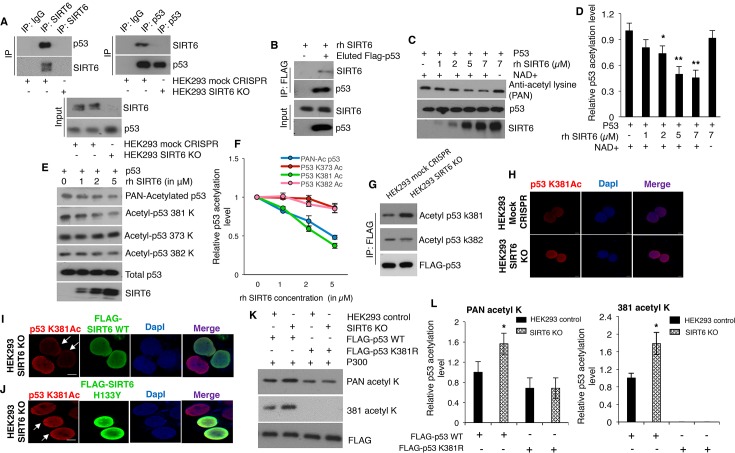 An external file that holds a picture, illustration, etc.
Object name is elife-32127-fig5.jpg