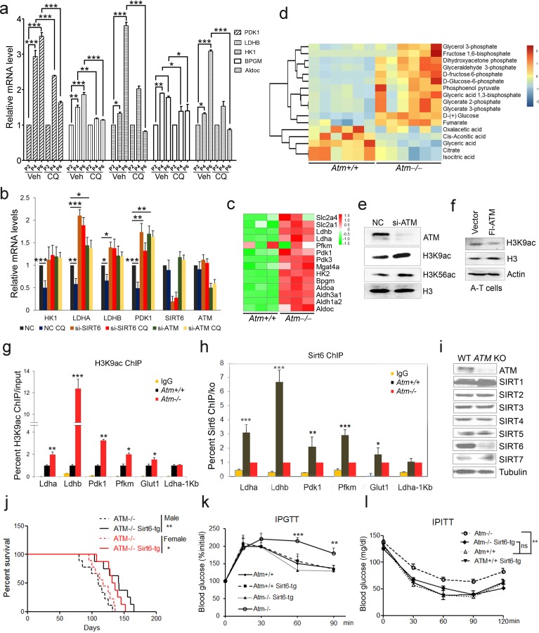 An external file that holds a picture, illustration, etc.
Object name is elife-34836-fig2.jpg