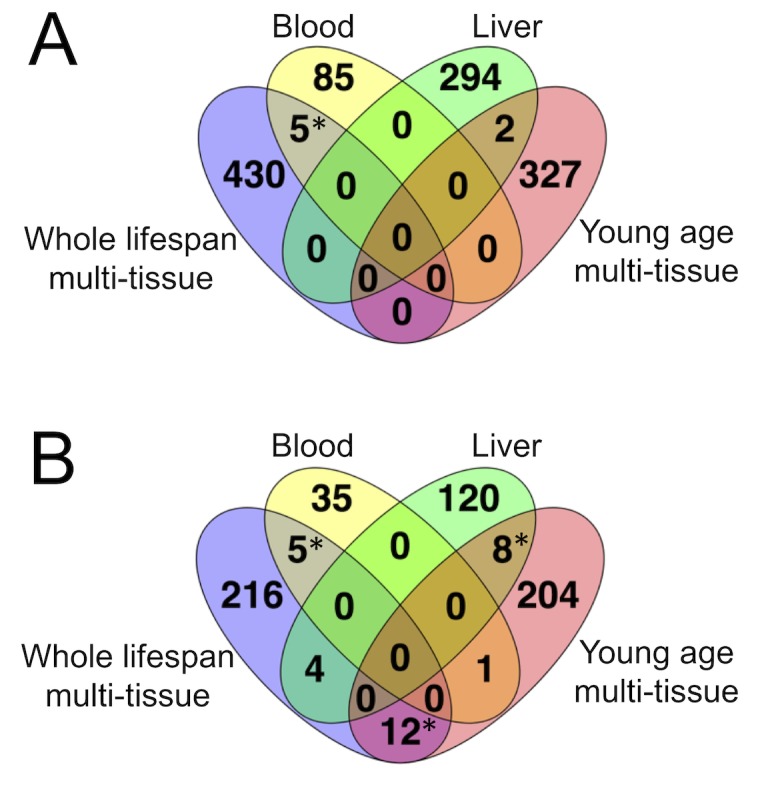 An external file that holds a picture, illustration, etc.
Object name is elife-40675-fig2.jpg