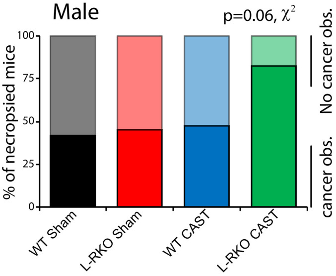 An external file that holds a picture, illustration, etc.
Object name is elife-56177-fig1-figsupp1.jpg