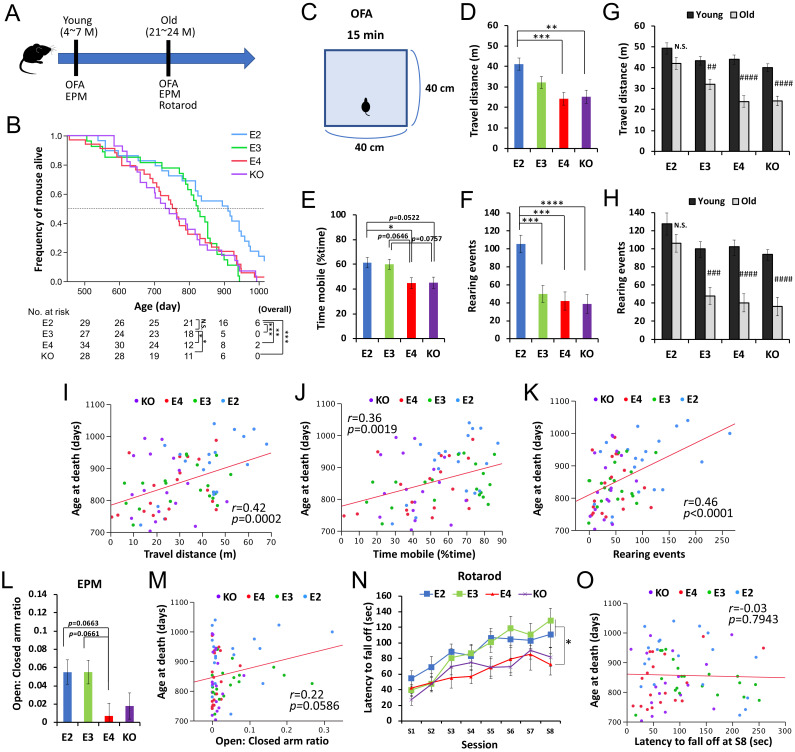 An external file that holds a picture, illustration, etc.
Object name is elife-62199-fig2.jpg